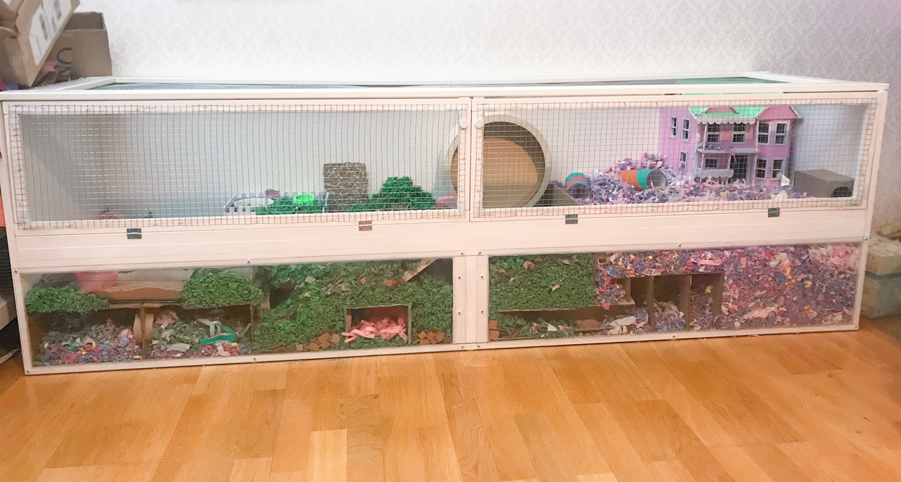 Großes selbst gebautes Hamstergehege mit Einstreu, Laufrad und Verstecken