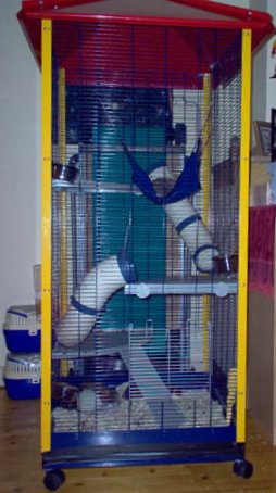 Strukturierter Kleintierkäfig als Beispiel für praktische Tierheimarbeit